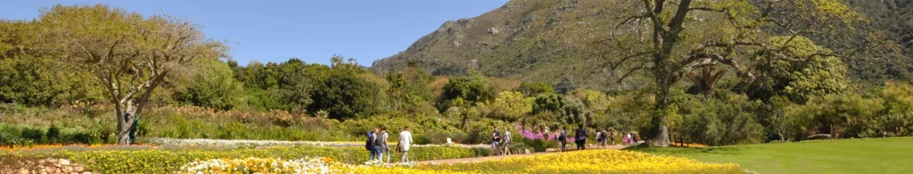 Kirstenbosch National Botanical Garden – Botanical Garden in Cape Town