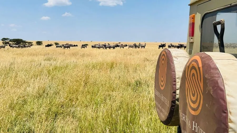 Mbuzi Mawe Serena Camp – Tented Camp in Serengeti