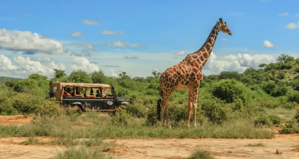 Samburu Intrepids – Tented Camp in Samburu