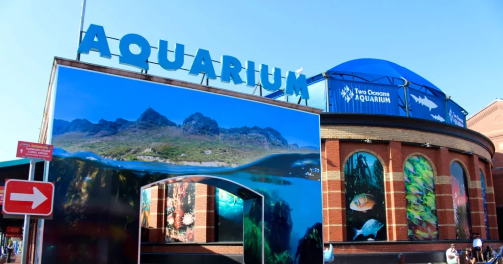 Two Oceans Aquarium – Aquarium in Cape Town